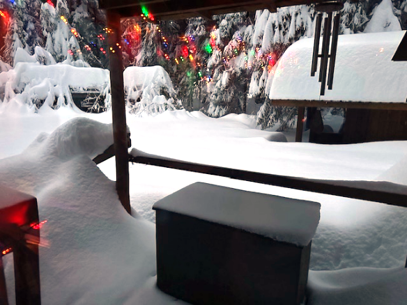 Inaccessible front porch. I took this a day or two after we got home. Inaccessible front porch. I took this a day or two after we got home.